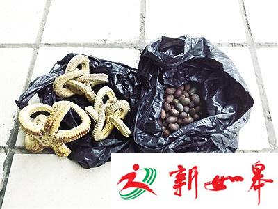 女子天价买灵药