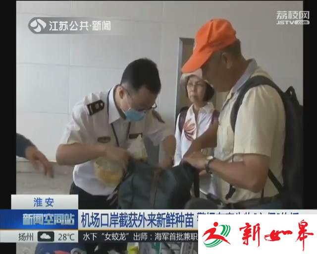 机场口岸截获外来新鲜种苗 警惕有害生物“入侵”传播-雉水网