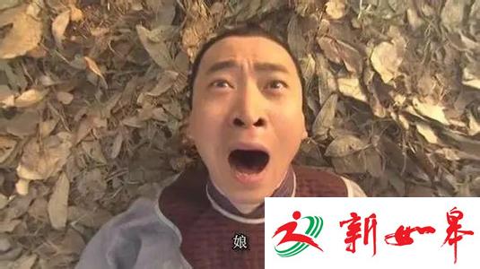 突破流量和网速约束 成就无限可能-雉水网