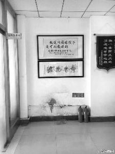 起底黑龙江弑母少女:曾发帖扬言让家人不死也残-雉水网