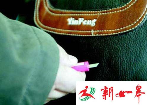 9月南京公交扒窃案降幅超八成-雉水网