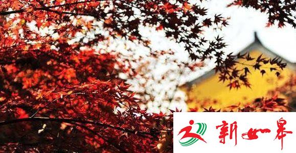 国庆节畅游南京，9条观光线陪你赏美景-雉水网