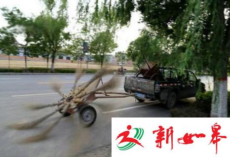 重庆高速现“涡轮增鸭” 司机：怕鸭子闷死-雉水网