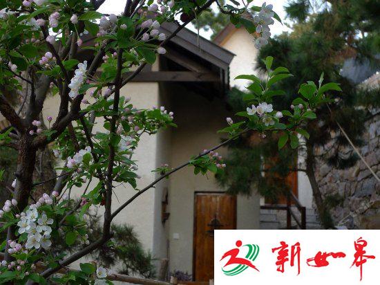 青岛民宿超火爆最高1680元 价格超五星酒店-雉水网