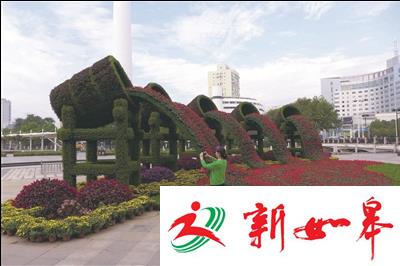 南通市区四处“大花篮”惊艳亮相-雉水网