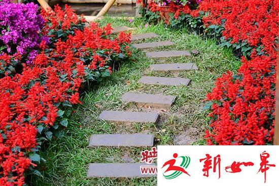 郑州微型景观刚开放就遭踩踏 花草等被