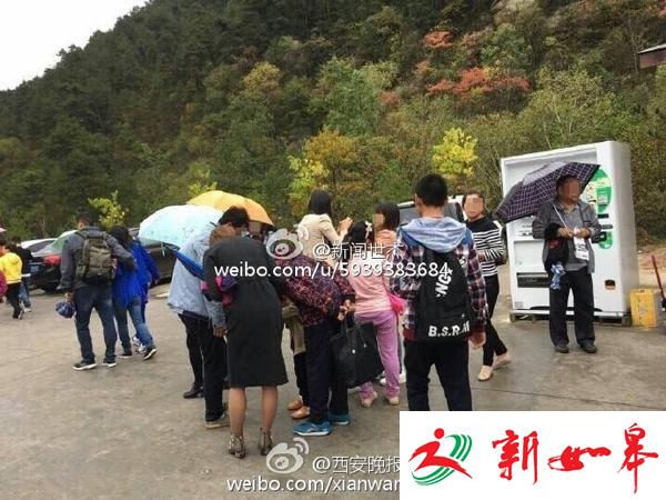 陕西黄陵森林公园游客遭群蜂攻击 现场哭成一片-雉水网