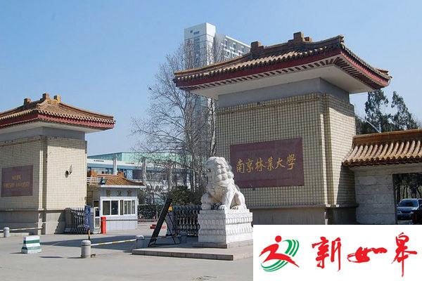 南京林业大学劝退49名学生 其他国家挂科如何处理-雉水网