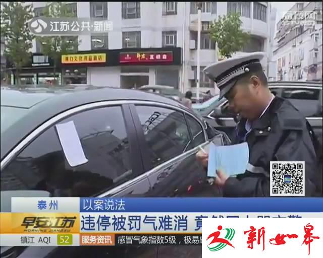 违停被罚气难消 司机网上骂交警被拘留-雉水网