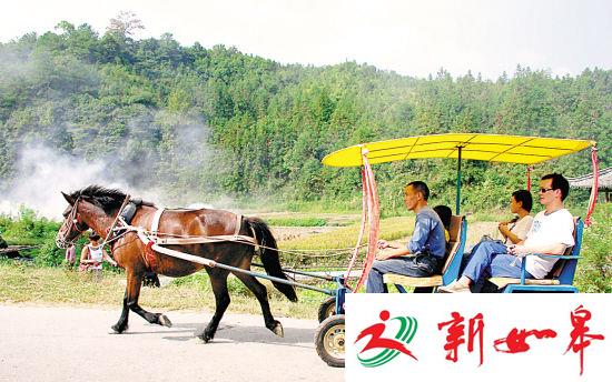 洗澡排队 没有停车场……乡村游火爆表象下暴露“瓶颈”-雉水网