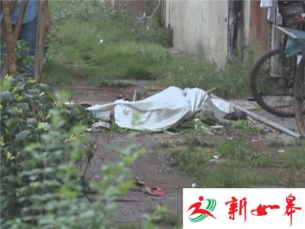 今晨一位70多岁老人不幸坠楼身亡-雉水网