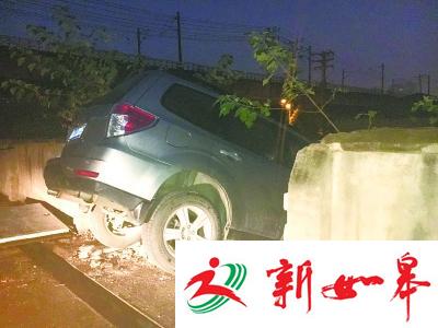 女子驾车途中为躲避小猫撞穿路边围墙-雉水网