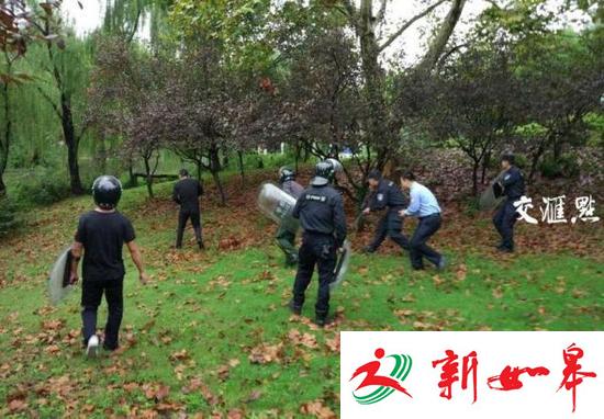 为何击毙出逃熊而非麻倒 警方:没配备麻醉枪-雉水网