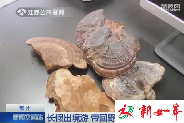 长假出境游  带回野生中药材要当心-雉水网