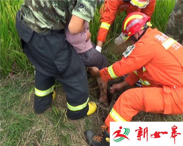 清除留隐患 农妇脚踩“陷阱”获救-雉水网