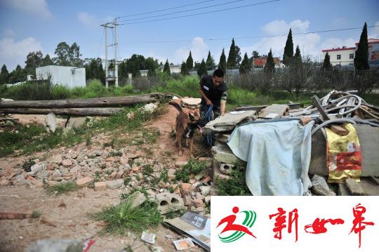 搜救犬是怎样练成的:享受国家编制 退休有保障-雉水网