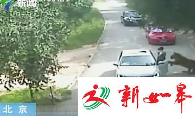 被老虎咬伤女当事人首次发声 向动物园索赔200余万-雉水网