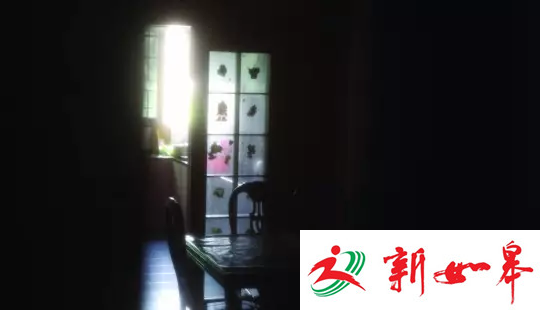 揭试管婴地下卵源:多来自名校 标生理期父母身高-雉水网