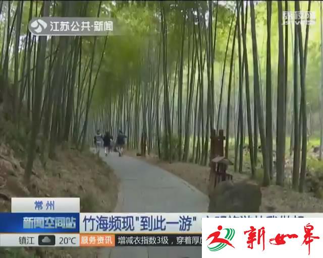 溧阳南山竹海频现“到此一游” 文明旅游从我做起-雉水网