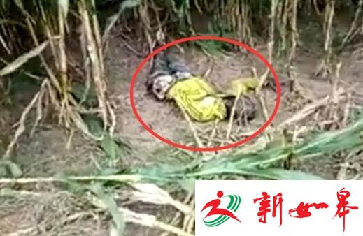 惊悚！连云港一玉米地发现高度腐烂尸体-雉水网