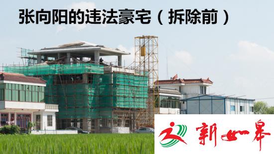 南通建工集团张某抗拒拆除违法豪宅-雉水网