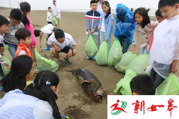 启东一海滩发现死亡小江豚 浑身被塑料袋缠绕-雉水网