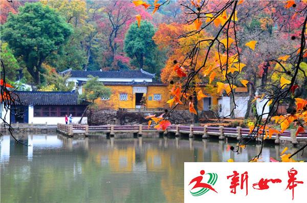 深秋渐近 “万丈红霞”将现身苏州天平山-雉水网