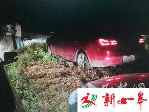 冒用身份证伪造行车证 “神秘人”租车骗贷50多万被抓-雉水网