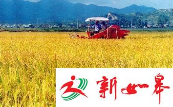 “卖得出”，让农民增产又增收-雉水网