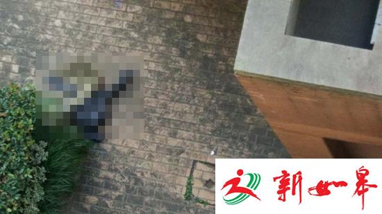 女子从复旦大学文科楼11层坠亡 具体情况仍在调查-雉水网