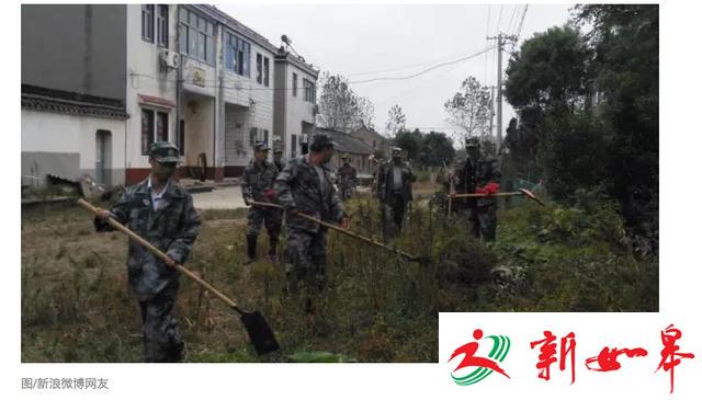 南京200眼镜蛇出逃的原罪：养肥上餐桌利润涨十倍-雉水网