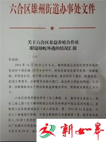不小心被逃逸的蛇咬伤了，应该怎么赔偿呢？-雉水网