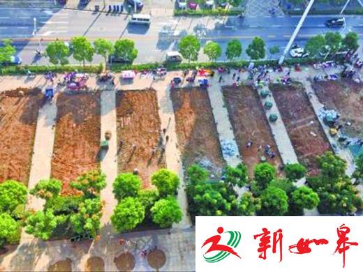 武汉一广场铲百米绿地建停车场 城管:已停工-雉水网