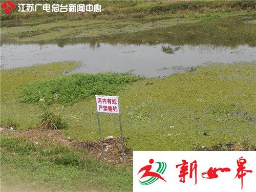 独家揭秘眼镜蛇如何逃逸？事发养殖场已被贴封条-雉水网