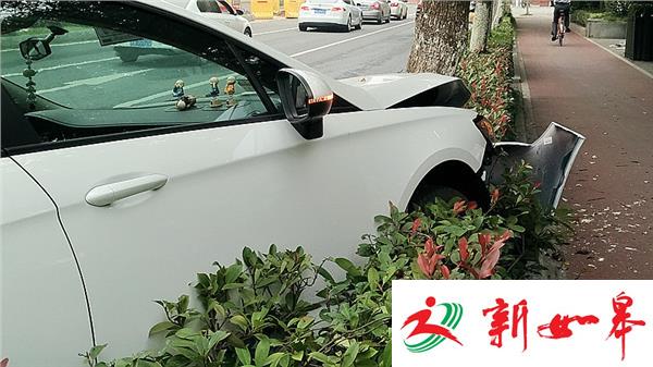 新车还末上牌 错踩油门撞上行道树-雉水网