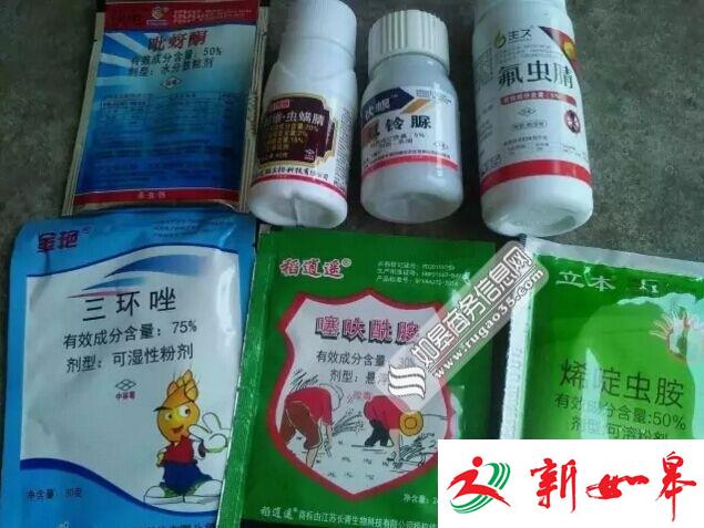 如皋柴湾300箱蜜蜂死亡处理结果　价格认定中心调解-雉水网