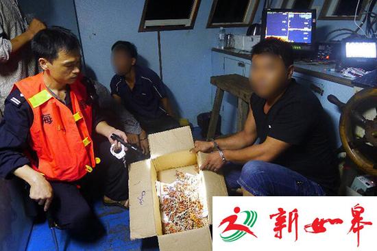 广东查获非法猎捕红珊瑚案 缴获疑似红珊瑚70千克-雉水网