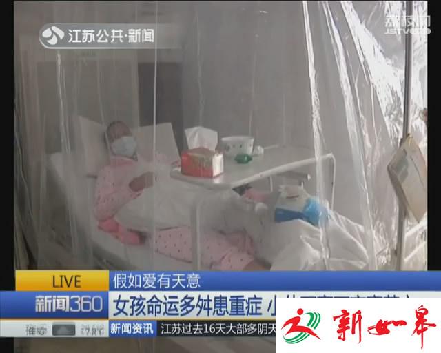 白血病女孩命运多舛患重症 小伙不离不弃赢芳心-雉水网