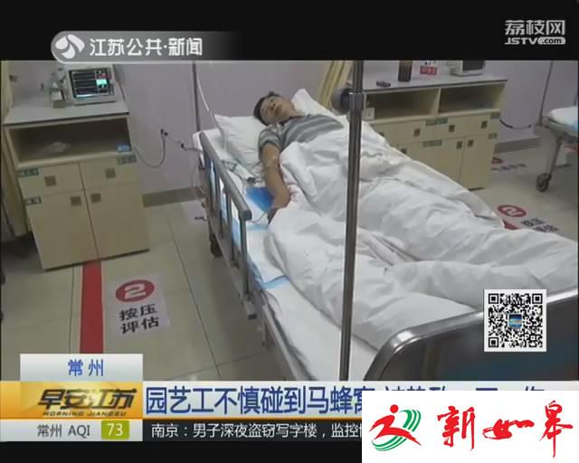 园艺工不慎碰到马蜂窝 被蛰致一死一伤-雉水网