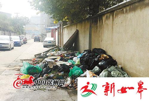 垃圾堆在马路上无人清理-雉水网