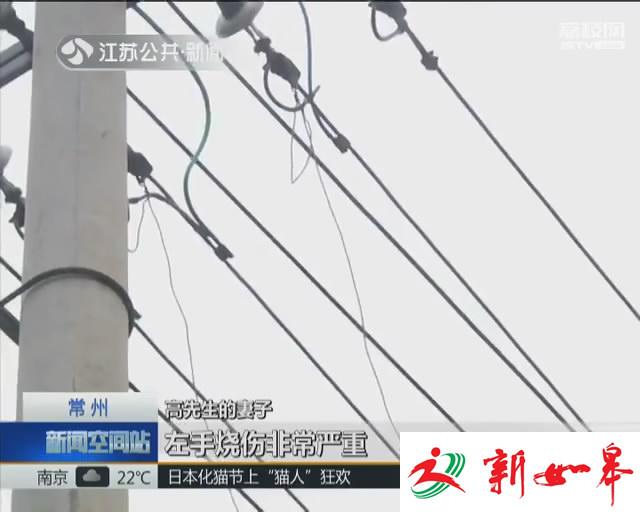 秋季钓鱼 远离高压线-雉水网