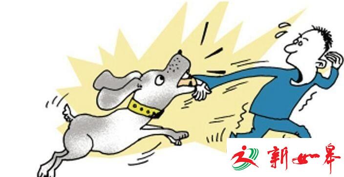 男子行窃被狗咬！连续8次报警结果自投罗网-雉水网