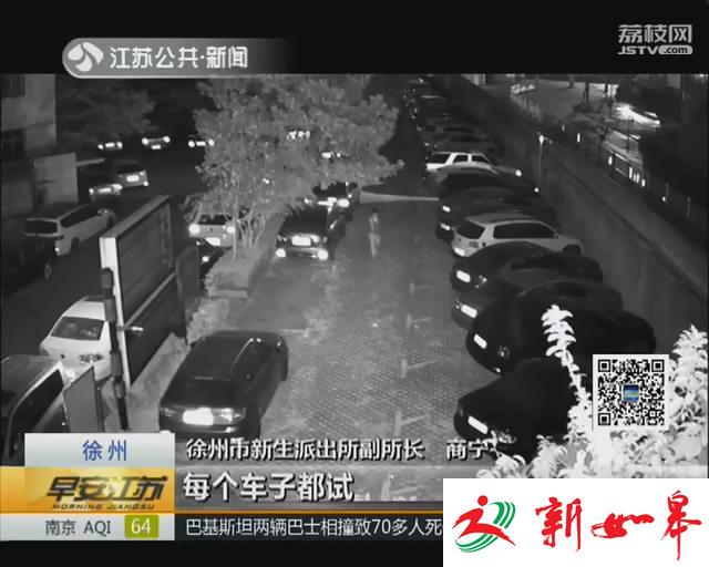 两贼“拉车门”盗窃 成功作案十多起-雉水网