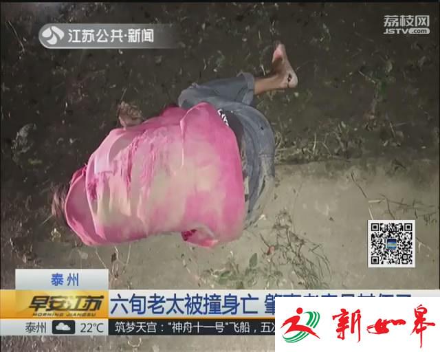 六旬老太被撞身亡 逃逸肇事者竟是其侄子-雉水网