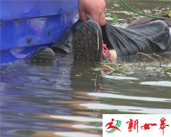 南京六合灵钢河惊现一具男尸-雉水网