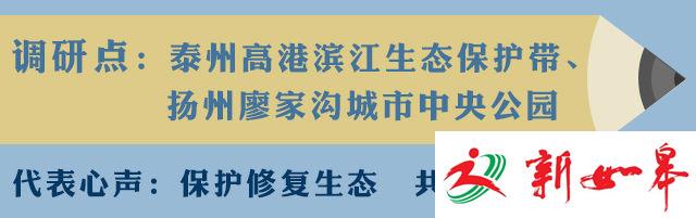 大家谈：让“黄金水岸”更具绿色“含量”-雉水网