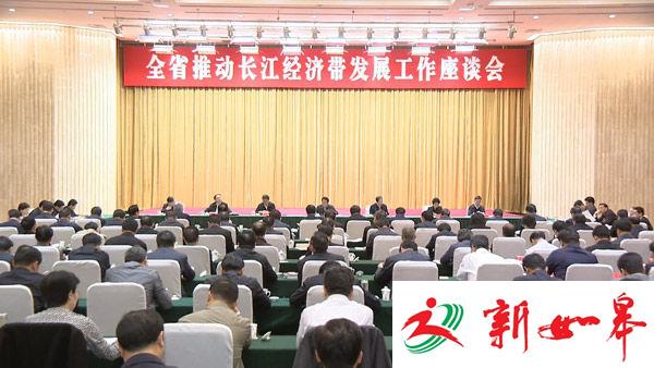 李强：把保护长江生态放在重中之重 更大力度推进沿江转型-雉水网