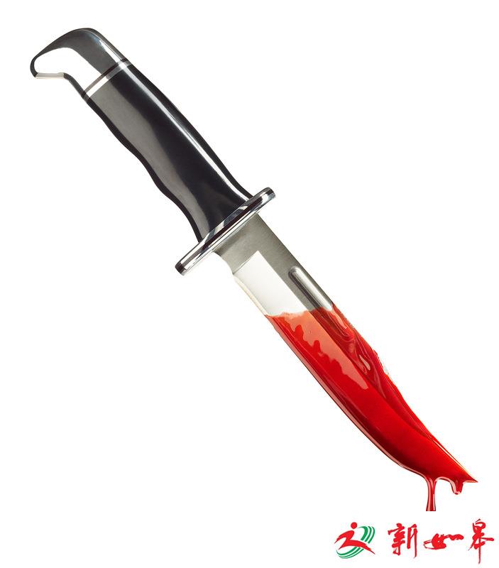 广西一男子幼儿园门口杀妻，警方10分钟抓获嫌疑人-雉水网