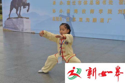 各路太极高手宿迁争锋 试问擂台上谁是真英雄-雉水网