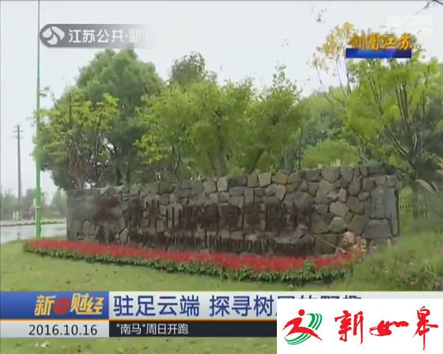 创富江苏：驻足云端 探寻树屋的野趣-雉水网